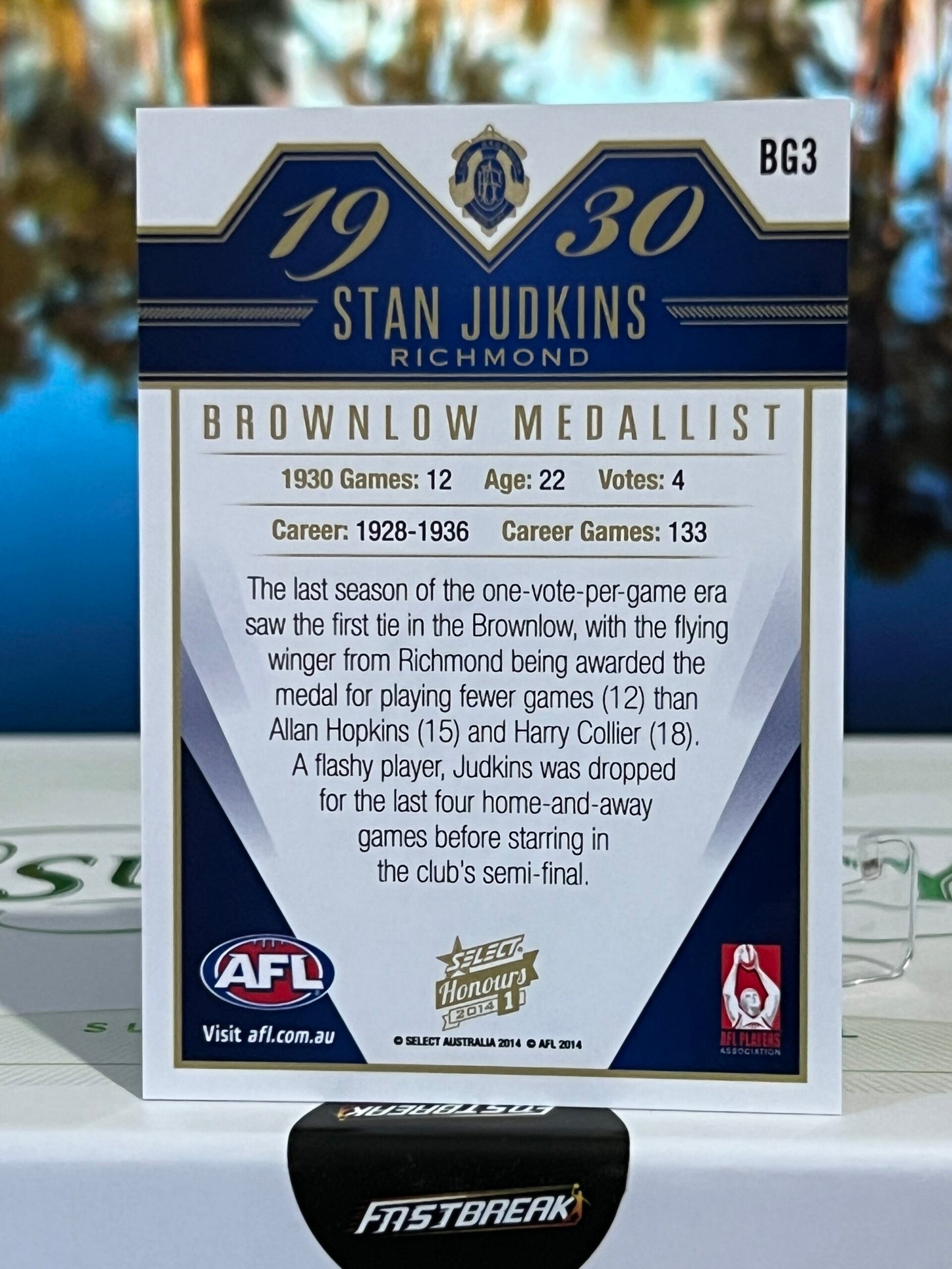 Stan Judkins - Richmond - 2014 - Honours - Brownlow Gallery -