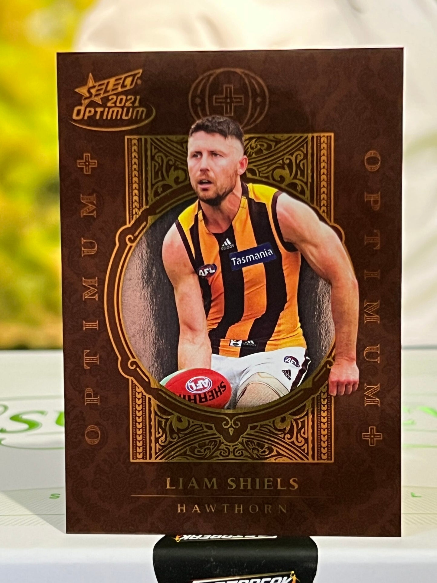 Liam Shiels - Hawthorn - 2021 - Optimum - Optimum + - 252/455