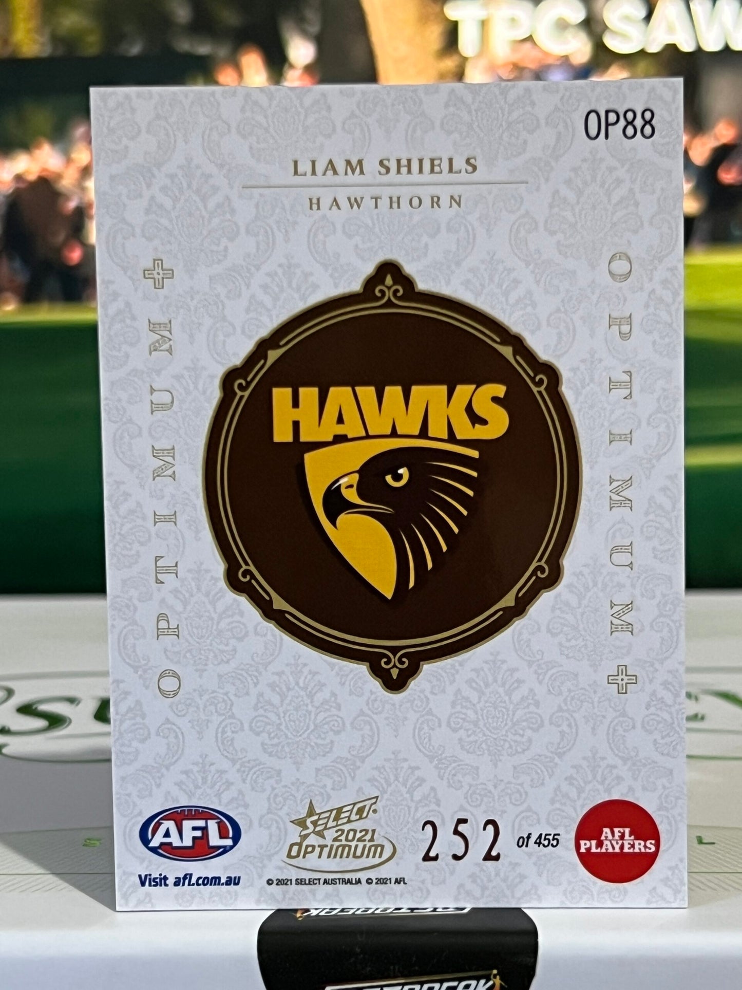 Liam Shiels - Hawthorn - 2021 - Optimum - Optimum + - 252/455